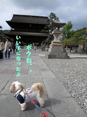 f0213476_2521045.jpg