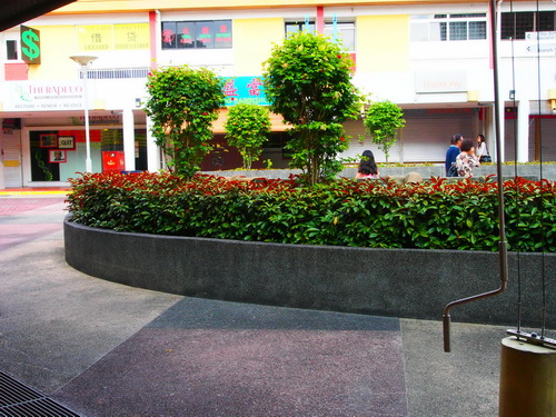 a0002177_16355185.jpg