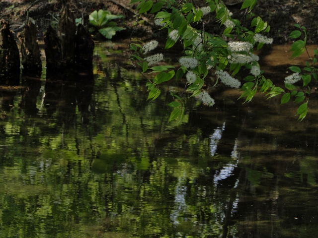 c0183777_641324.jpg