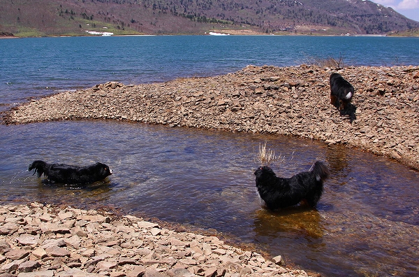 c0149178_1821217.jpg
