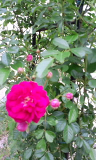 c0228378_13512561.jpg