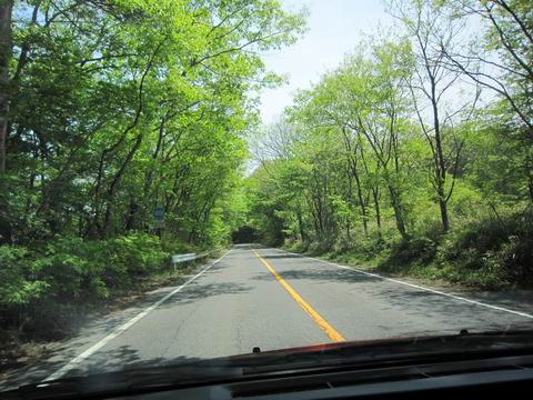 c0218879_18332232.jpg