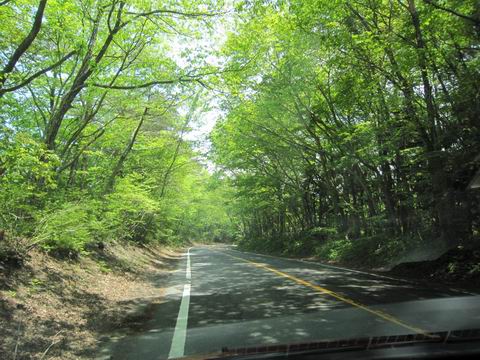 c0218879_18333555.jpg