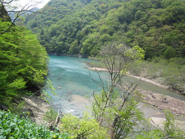 c0218879_18402476.jpg