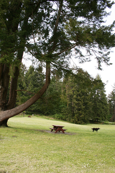 d0114280_4152023.jpg