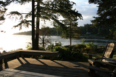 d0114280_435994.jpg