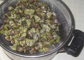 f0003283_1821442.jpg