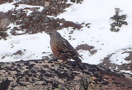 c0018489_0272290.jpg