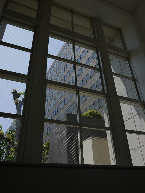 d0069495_17113.jpg