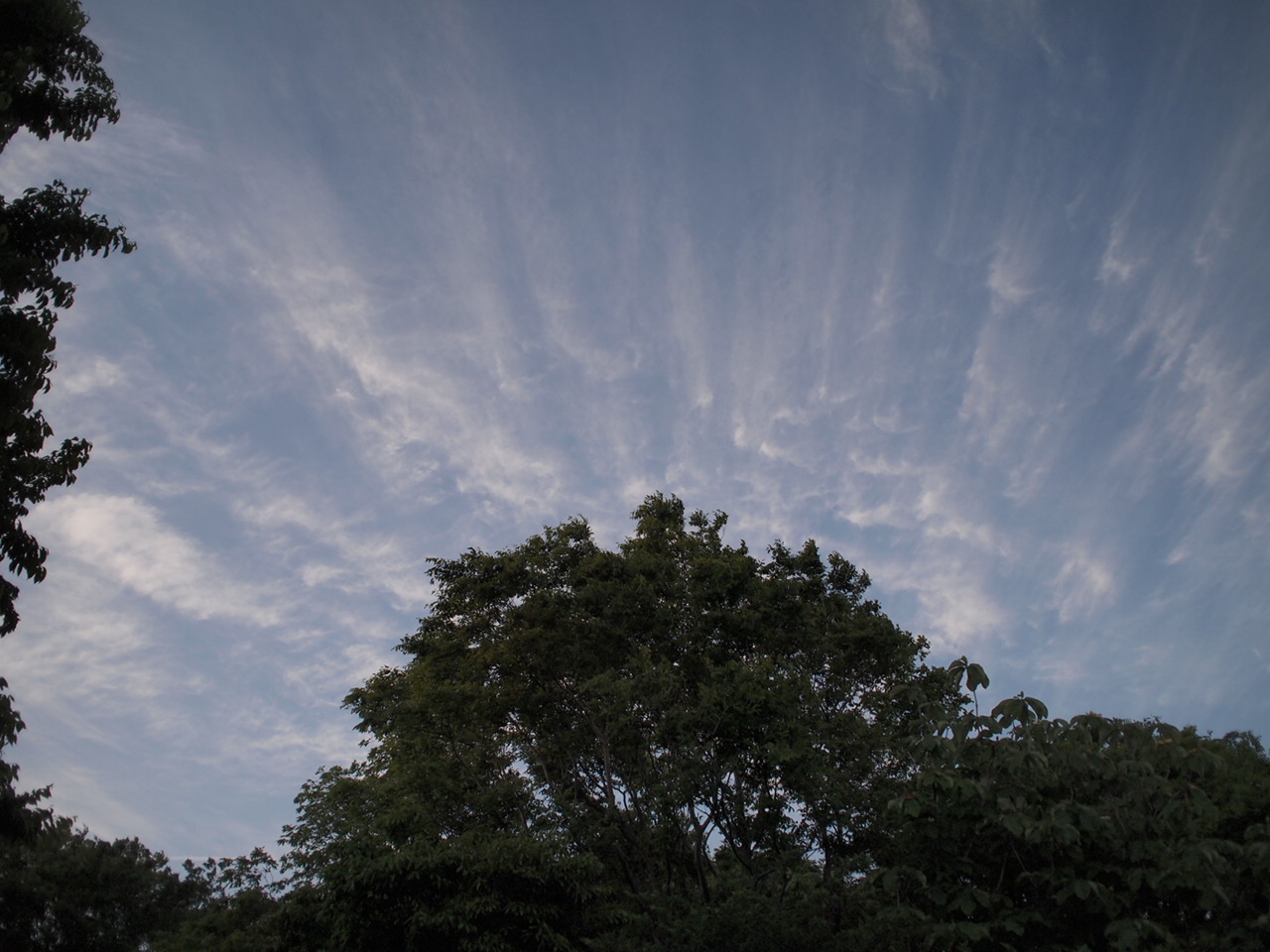 b0234697_12441275.jpg