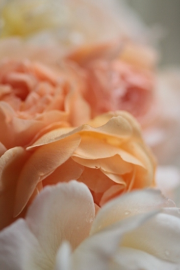 e0209997_23432147.jpg