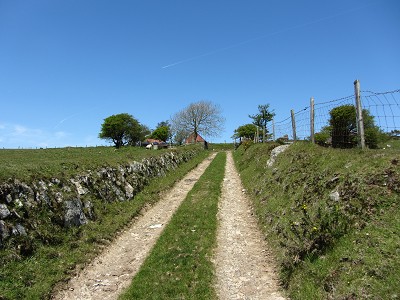 b0110999_1322251.jpg