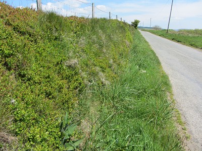b0110999_13241.jpg