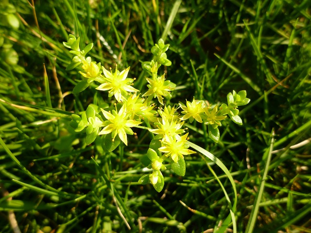 d0037110_2247218.jpg