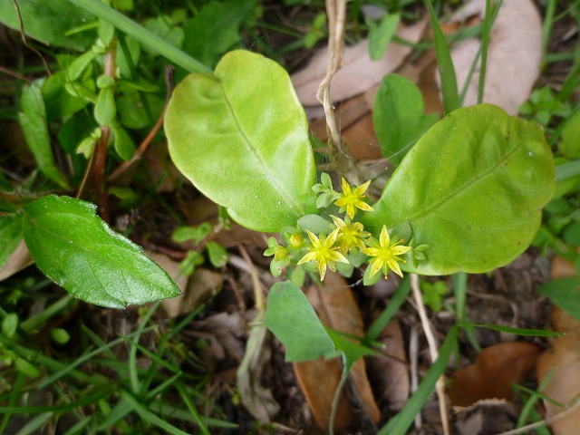 d0037110_22473157.jpg