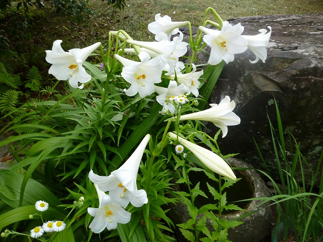 d0037110_225303.jpg