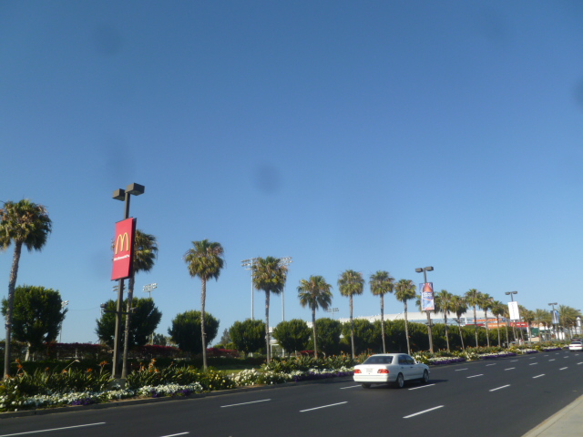 a0144811_0461885.jpg