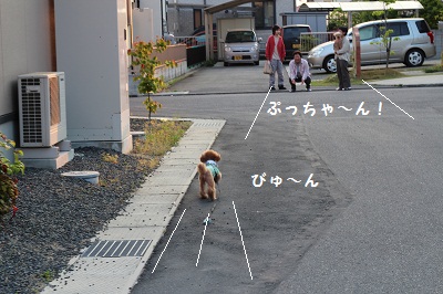 b0197418_22134179.jpg