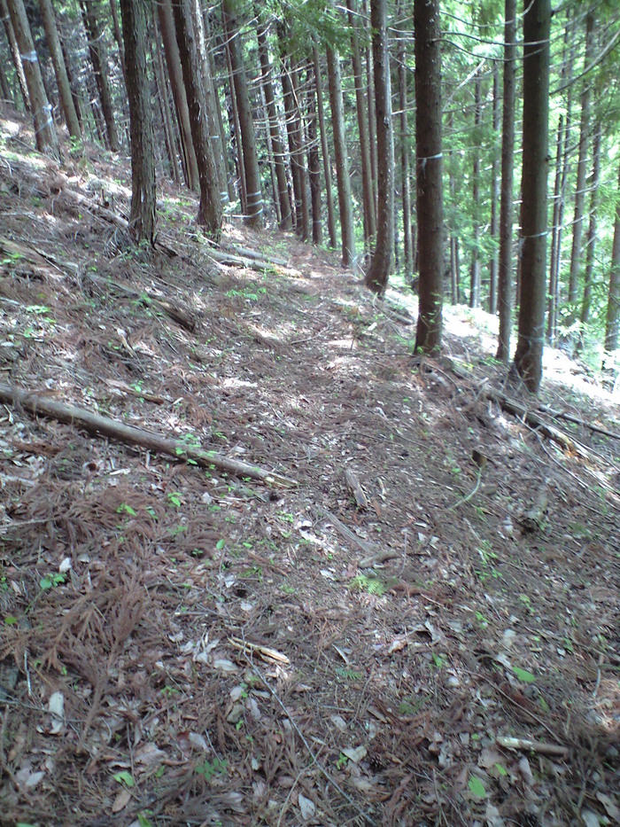 d0168318_21402312.jpg