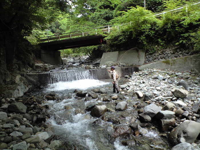 d0168318_2151671.jpg