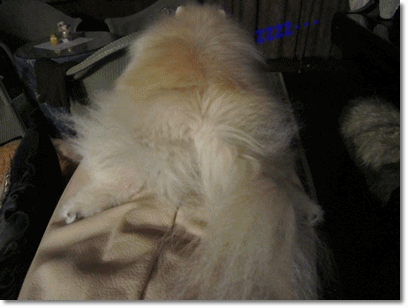 b0167519_9374720.gif