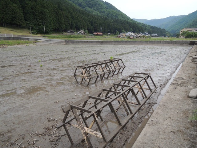 d0025421_1191385.jpg