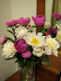 b0080027_1539380.jpg