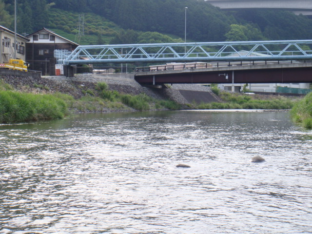 d0172227_925639.jpg