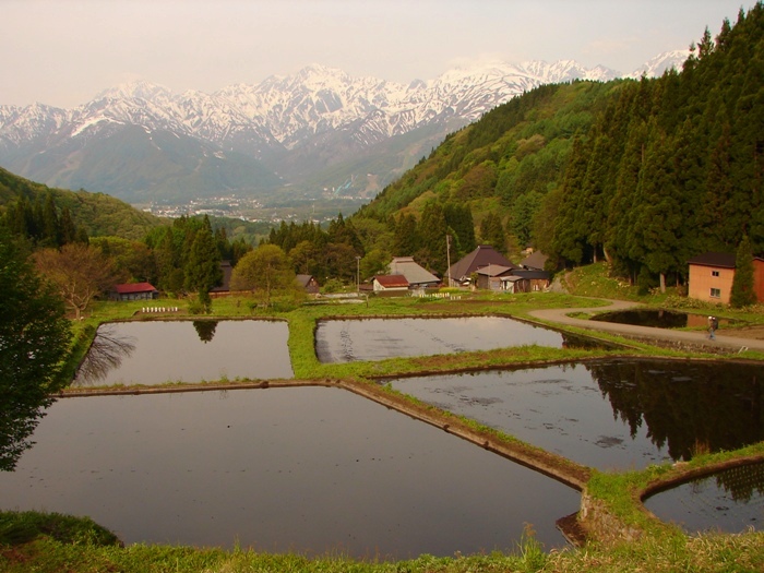 e0254331_055450.jpg