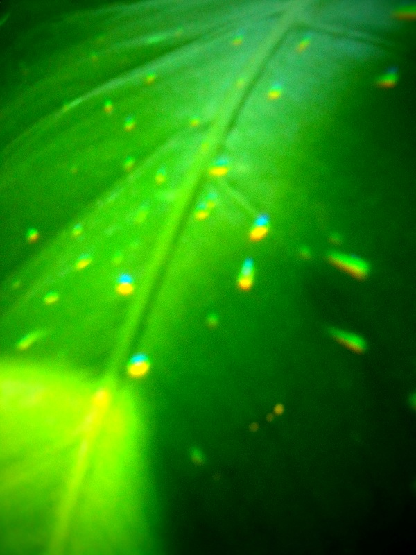 c0082534_6524679.jpg