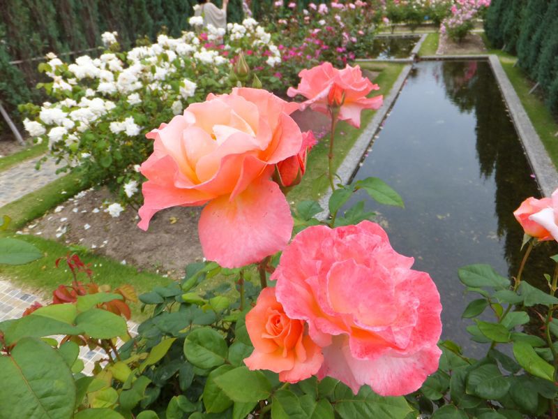 c0241434_21241092.jpg