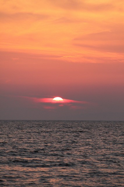 b0184636_1456378.jpg