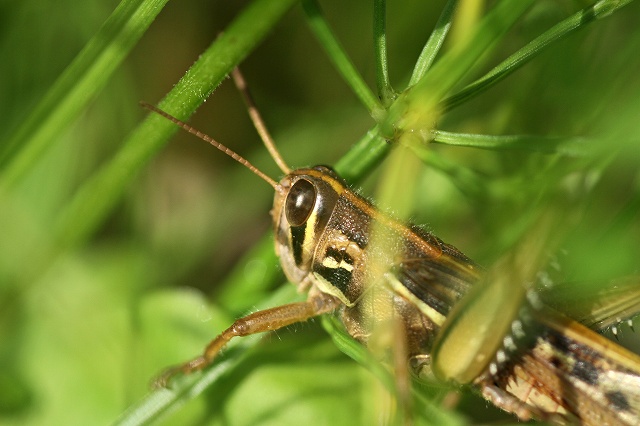 a0242438_1914887.jpg