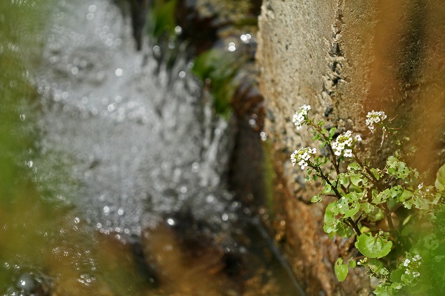 a0242438_19172924.jpg