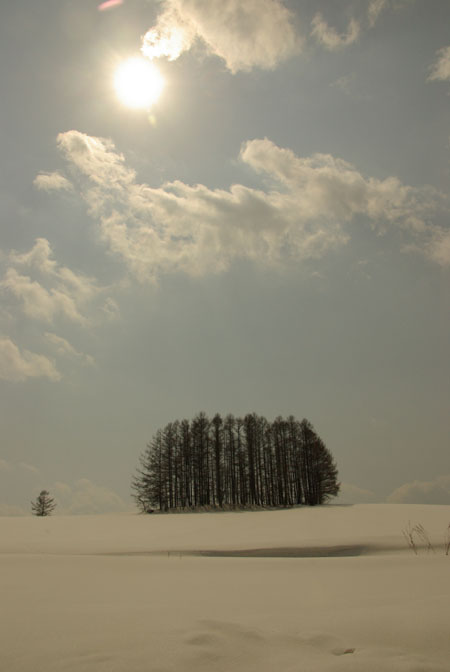 b0247838_23245190.jpg
