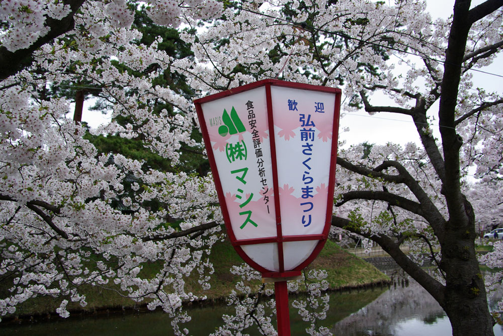 b0247838_23254139.jpg