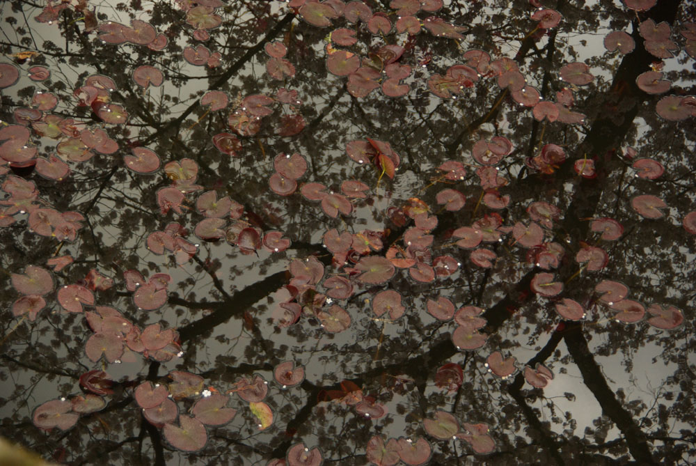 b0247838_23272390.jpg