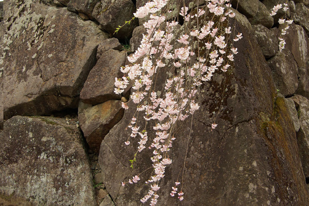 b0247838_23274987.jpg