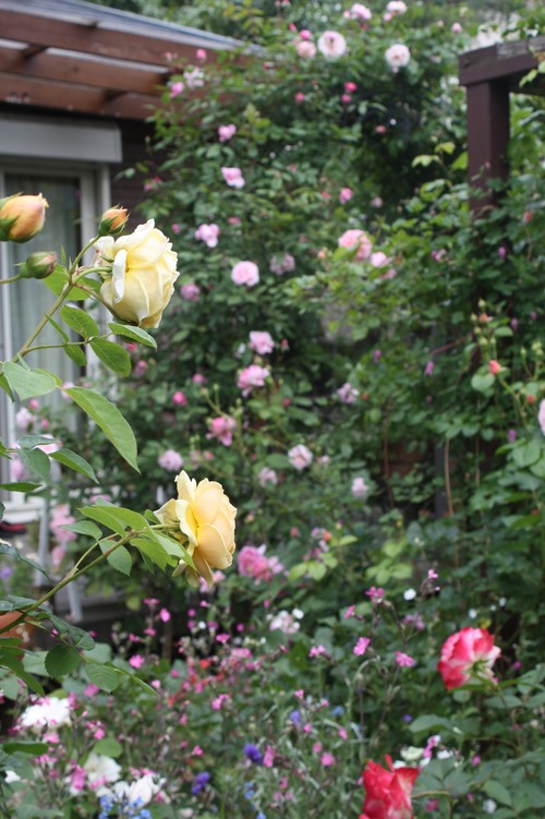 e0110038_23261349.jpg