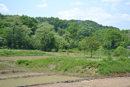 e0228938_19104692.jpg