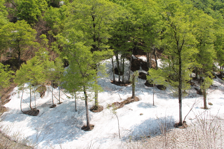 c0153740_8271221.jpg