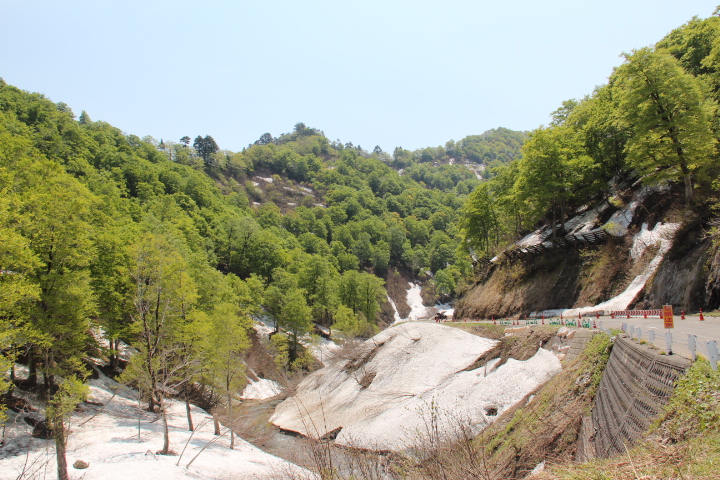 c0153740_8272522.jpg