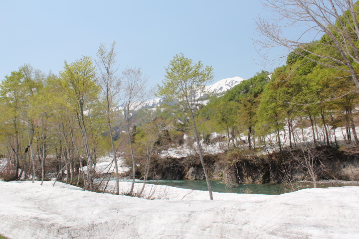 c0153740_8274735.jpg
