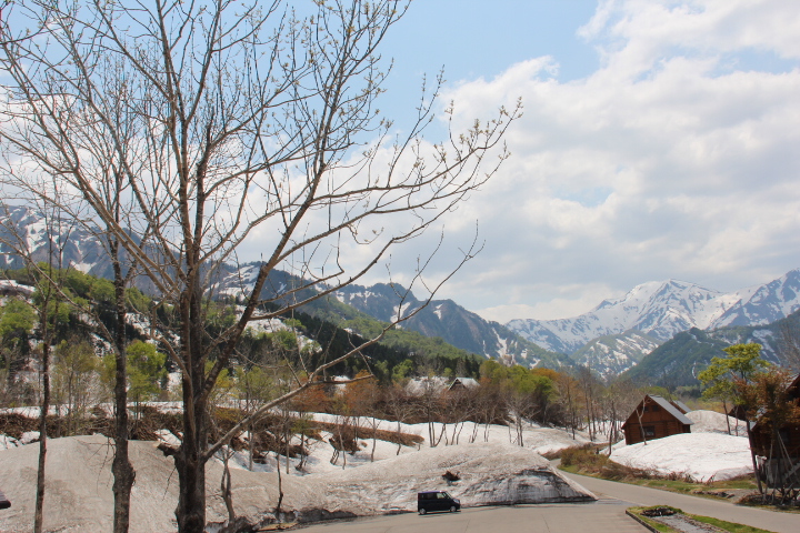 c0153740_8301350.jpg