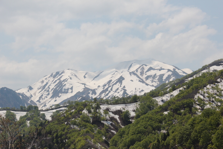 c0153740_830241.jpg