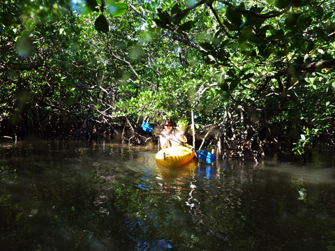 f0014842_1614494.jpg