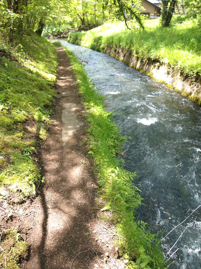 b0165444_4115931.jpg