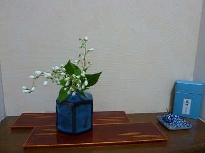 c0220047_926496.jpg