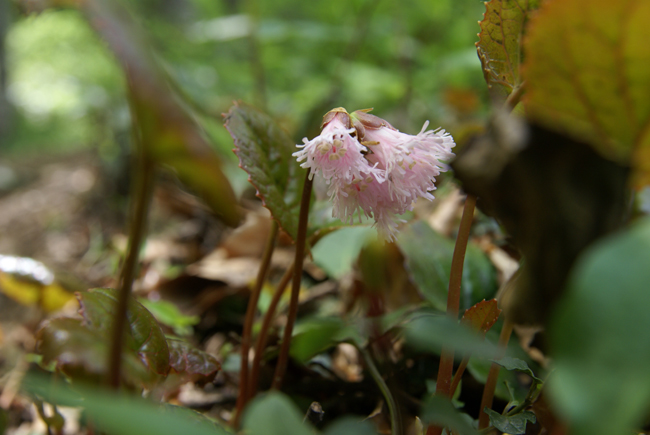 f0214649_214212100.jpg