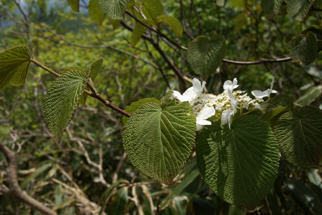 f0214649_21482642.jpg